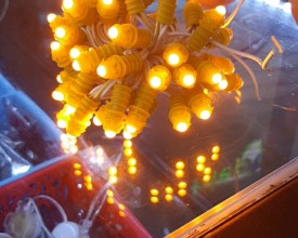 Quảng cáo đèn LED